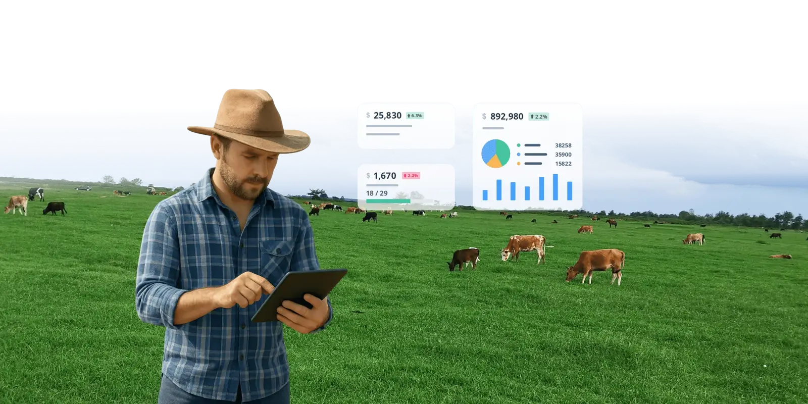 Soesp CRM dashboard